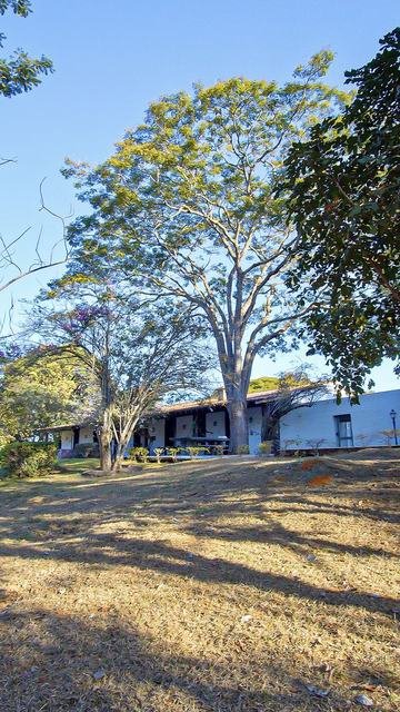 Casa da fazenda vista do gramado com árvores