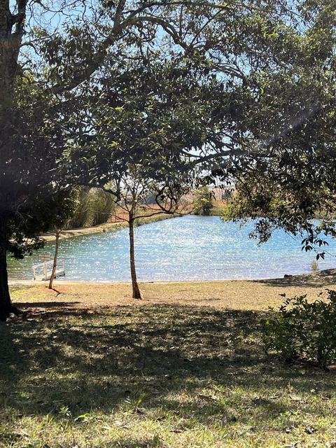 Lago da fazenda visto sob as árvores