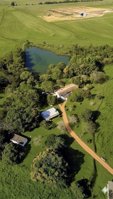 Vista aérea da Fazendinha JK entre árvores